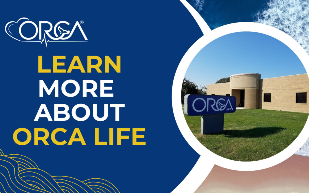 Learn More About ORCA Life