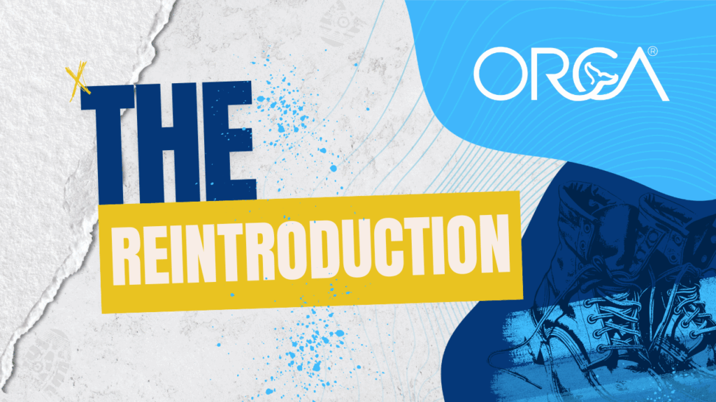The Reintroduction