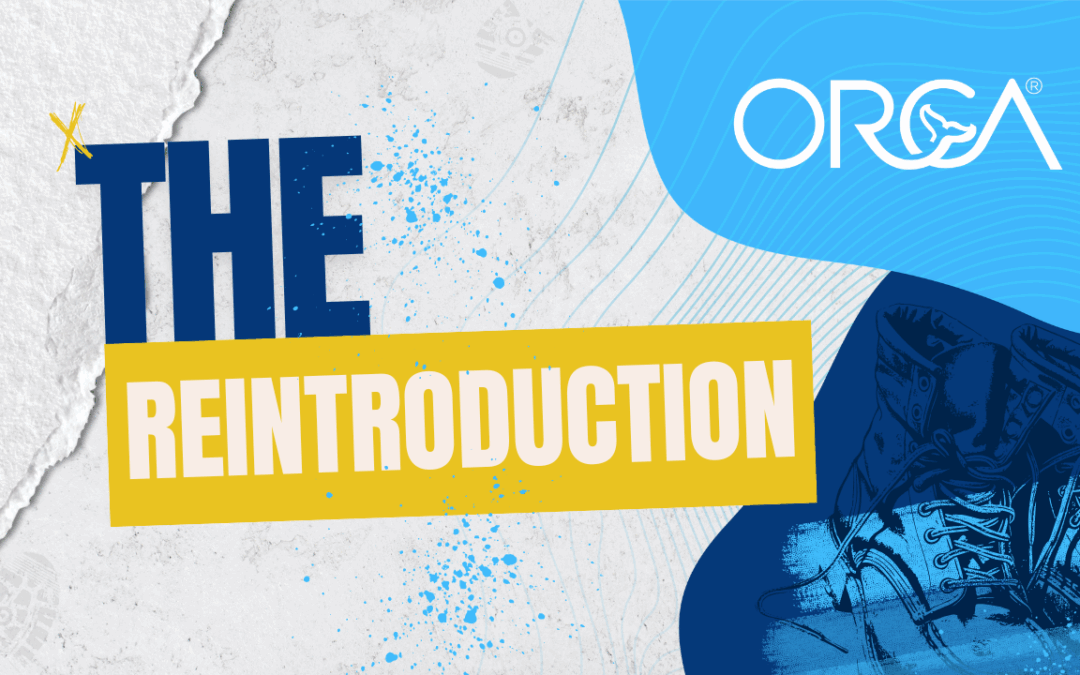 The Reintroduction