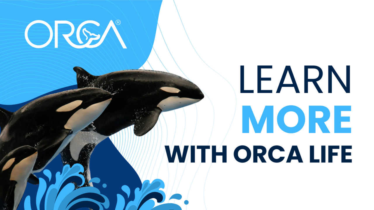 ORCA Training - Agents